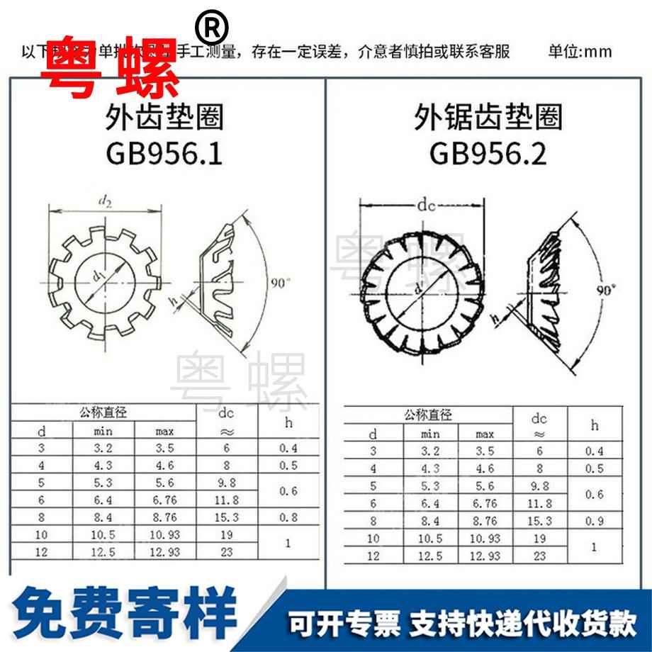 錐形鋸齒中衛(wèi)鎖緊墊圈